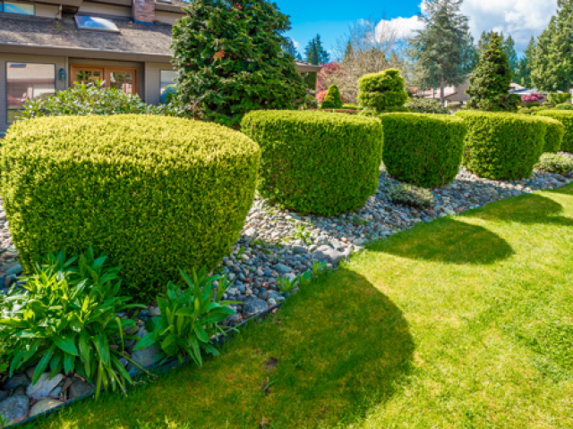 Création et entretien d'un jardin 